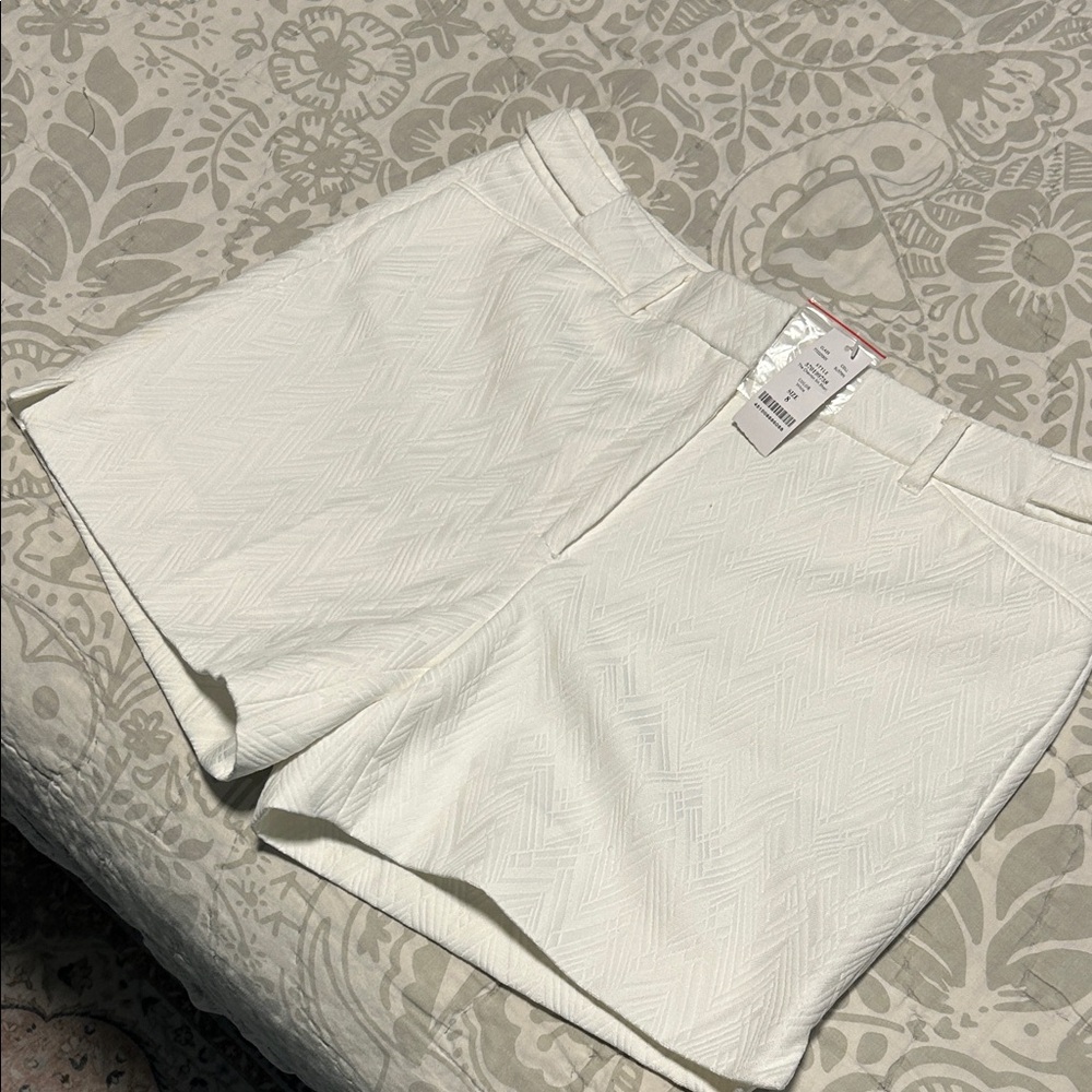 🎄Closet Closing Sale🎄 NWT White House Black Market The Short Textured Shorts 8